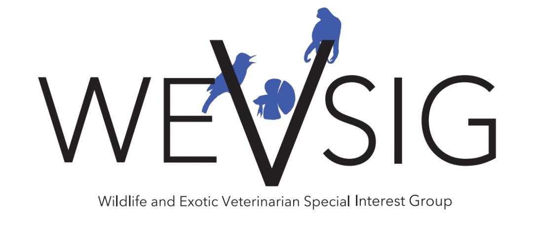 wevsig.com