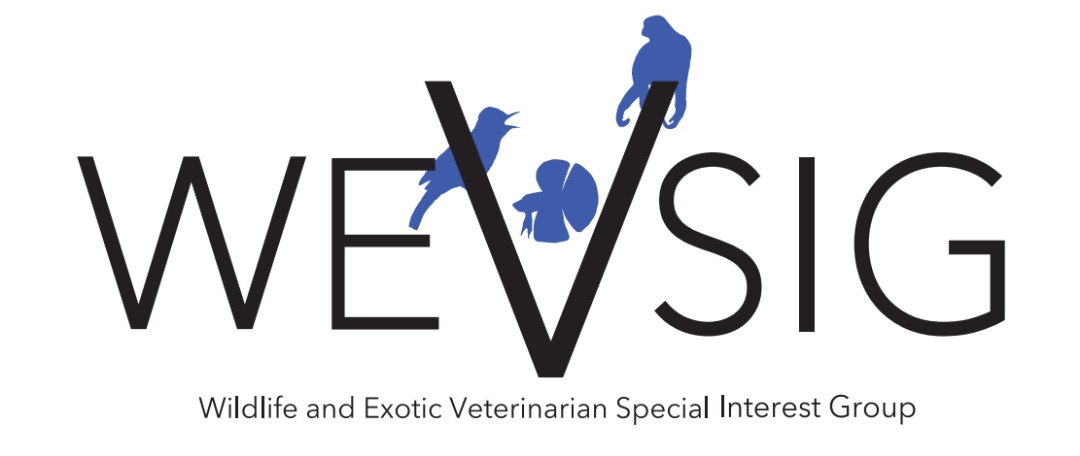 wevsig.com